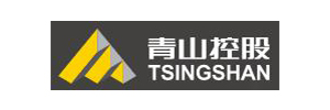 青山控股集团有限公司