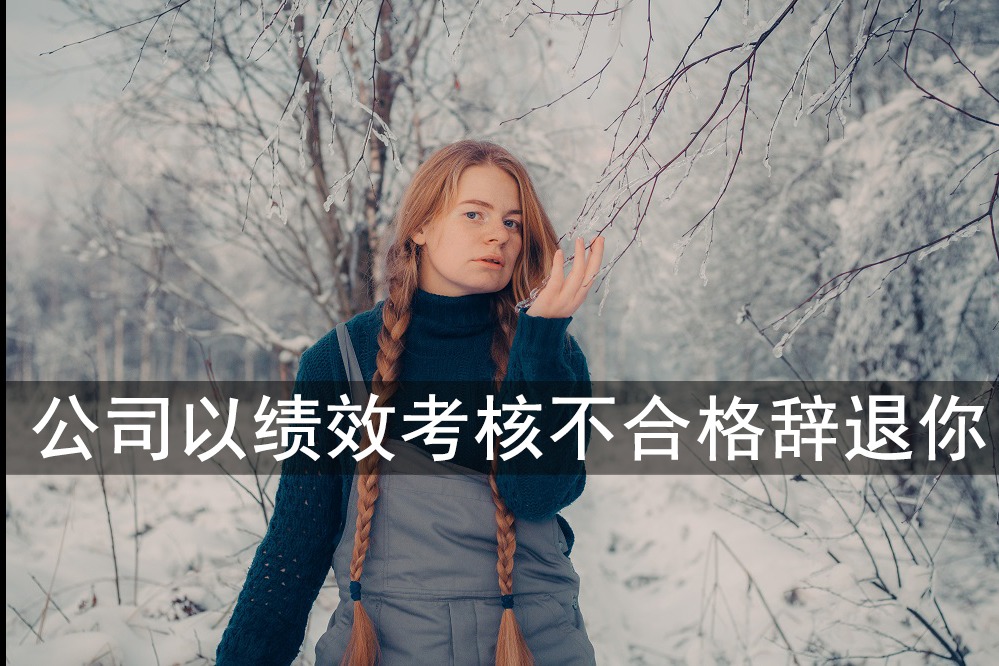 公司以绩效考核不合格，完不成任务辞退你，该如何获得赔偿