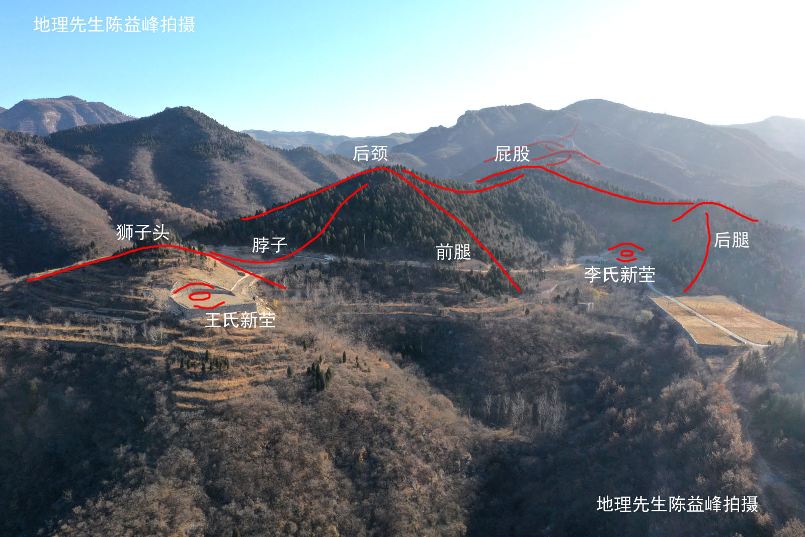 陈益峰杨公十二杖法详解和图示