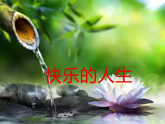 快乐的人生11.jpg