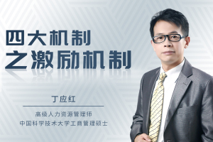 四大机制之激励机制