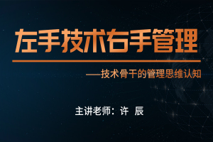 左手技术   右手管理
