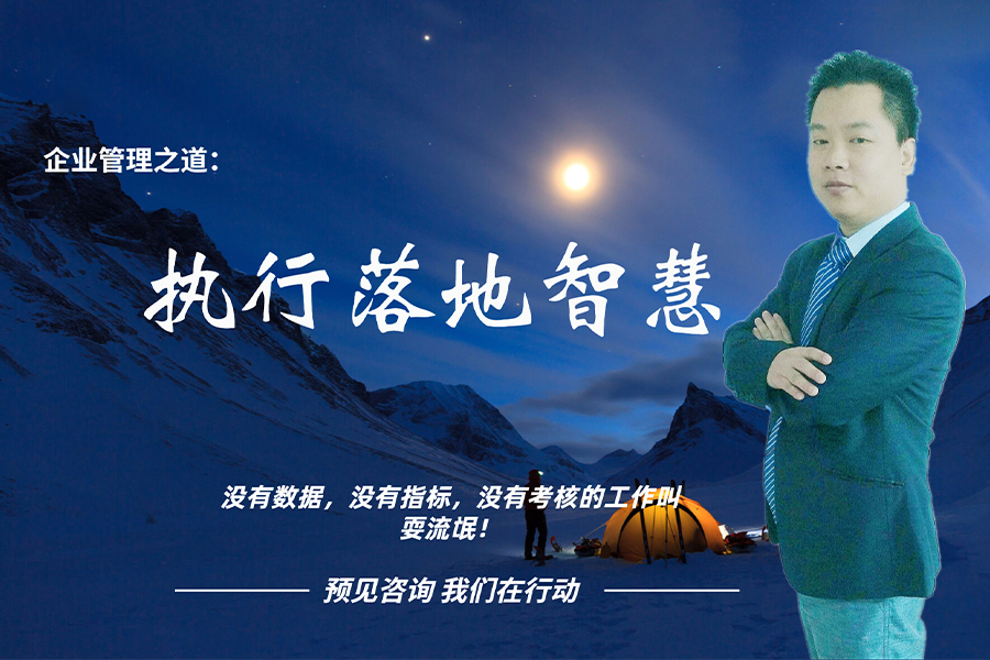 企业管理之道：执行落地智慧
