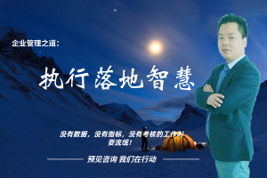 企业管理之道：执行落地智慧