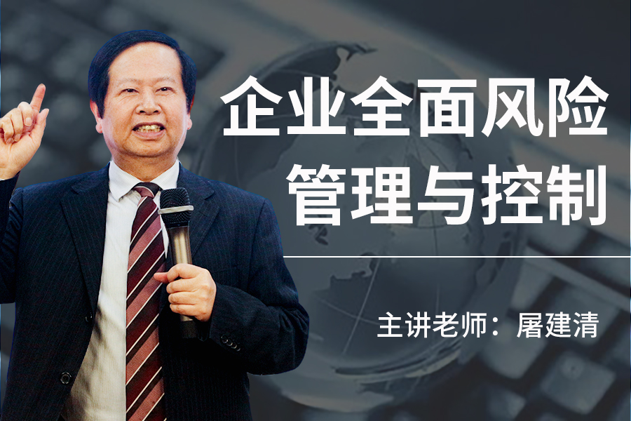 企业全面风险管理与控制