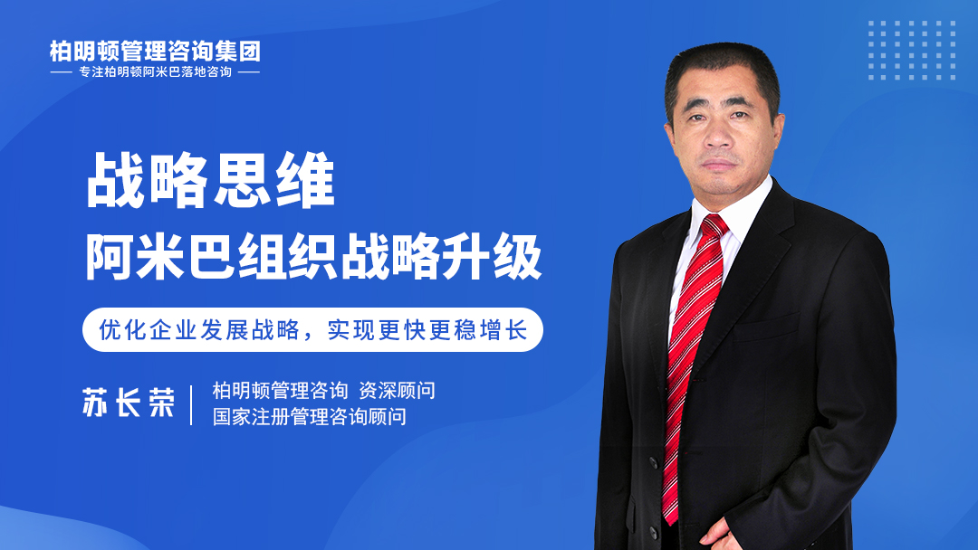 苏长荣老师： 战略思维——阿米巴组织战略升级