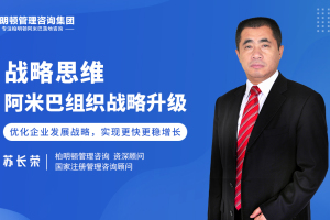 苏长荣老师： 战略思维——阿米巴组织战略升级