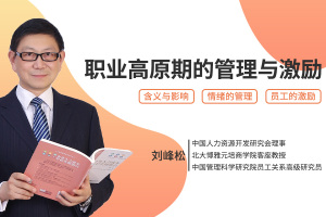 职业高原期的管理与激励