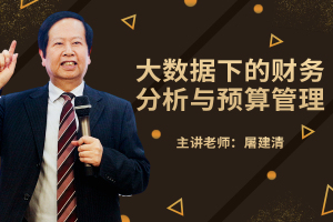 大数据下的财务分析与预算管理 讲师网版