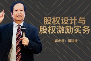 股权设计与股权激励实务 讲师网版