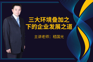 三大环境叠加之下的企业发展之道