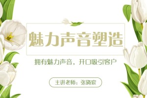 魅力声音塑造