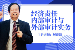 经济责任内部审计与外部审计实务