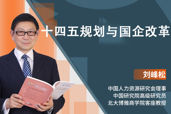 十四五规划与国企改革