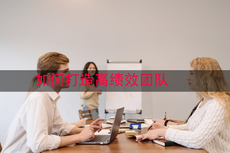 如何打造高绩效团队