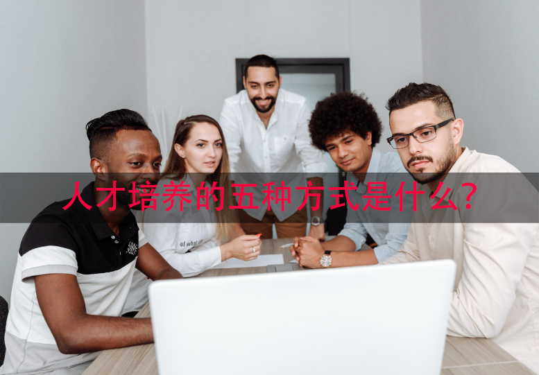 人才培养的五种方式是什么?