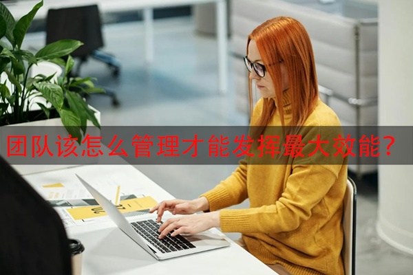团队该怎么管理才能发挥最大效能？