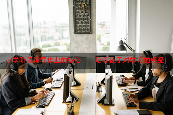 小学阶段辅导作业的核心——培养孩子对学习的感受