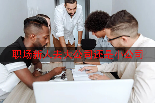 职场新人去大公司还是小公司