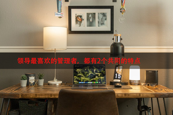 领导最喜欢的管理者，都有2个共同的特点