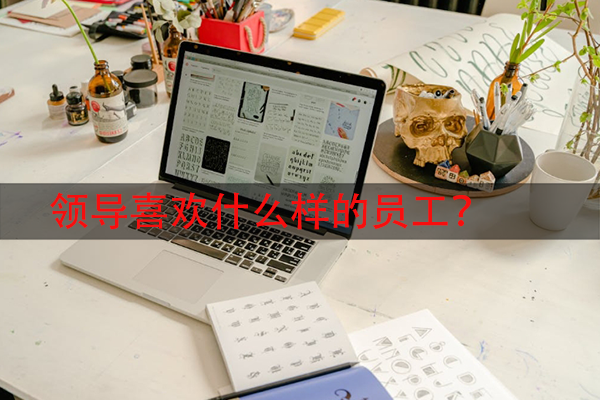 领导喜欢什么样的员工？