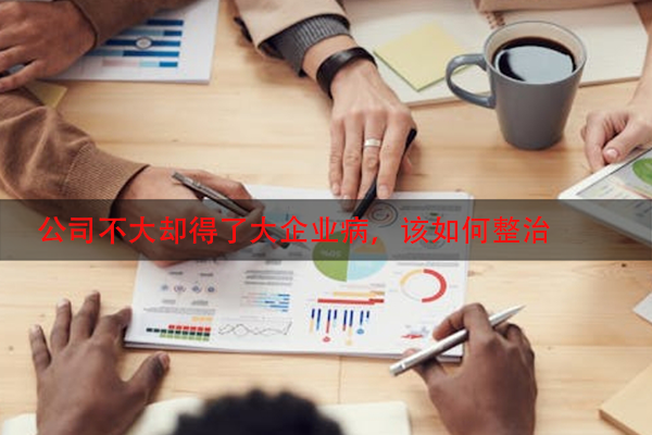 公司不大却得了大企业病，该如何整治