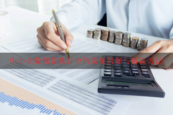 中小企业预算执行中的常见问题与解决方法