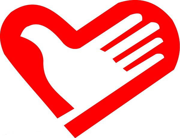 礼仪真善美尊重你我他