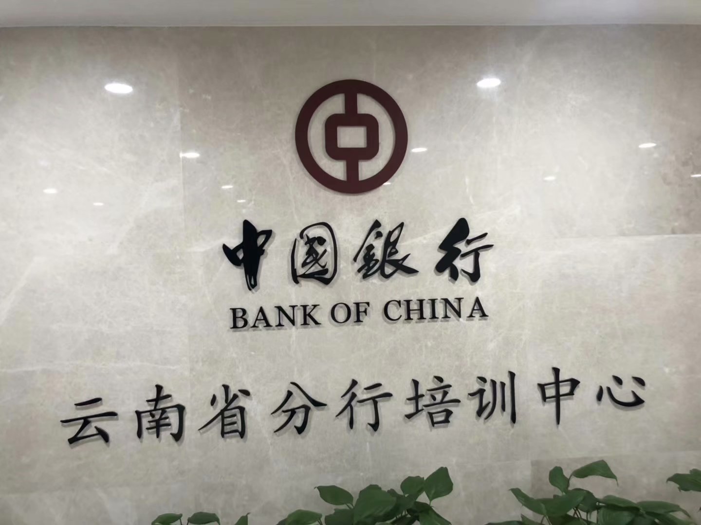 为北京某金融机构授课经济形势,为中国银行云南省分行授课"宏观经济